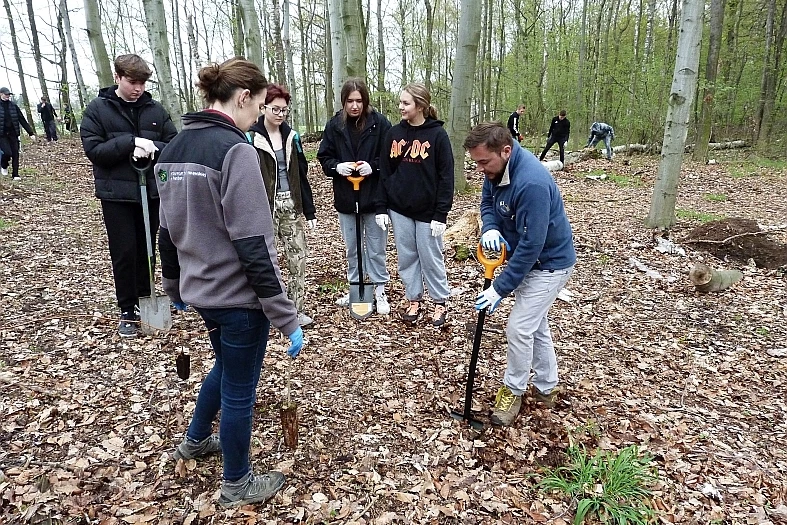 W Arboretum Bramy Morawskiej pojawią się nowe drzewa